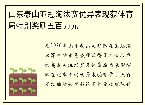 山东泰山亚冠淘汰赛优异表现获体育局特别奖励五百万元